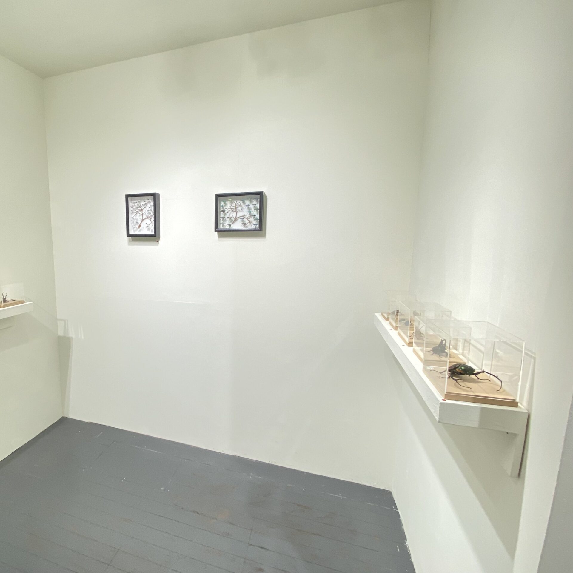 Gallery Blue
